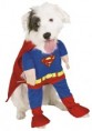 Super Dog